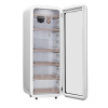 Холодильник для косметики и напитков Холодильник для напитков Meyvel MD105-White