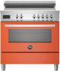 Центр варочный Bertazzoni PRO95I1EART